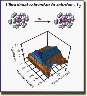 Sension_Lab - Page: 4 of 7