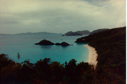 picture of trunkbay here
