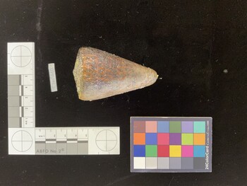 CleoSH001; 73x46x69 dorsal photo thumbnail