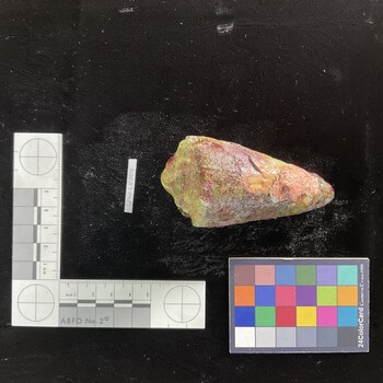 CimpSH004; 92x47.5x72 dorsal photo thumbnail