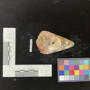 CimpSH006; 83x46.5x70.5 dorsal photo thumbnail