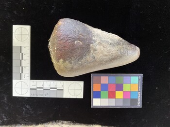 CleoSH003; 114x73.5x102 dorsal photo thumbnail