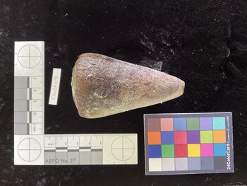 CleoSH007; 85.5x51.5x78.5 dorsal photo thumbnail