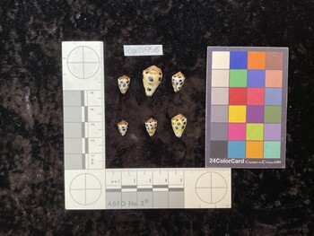 CebTM056; 11.5x7.5x9 dorsal photo thumbnail