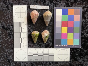 25x15x20.5 dorsal photo thumbnail
