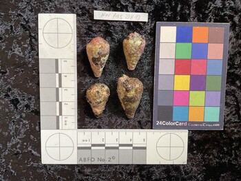28x16.5x23 dorsal photo thumbnail