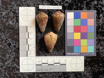 32x19.5x27 dorsal photo thumbnail