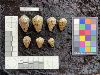 32.5*x21x25.5 dorsal photo thumbnail