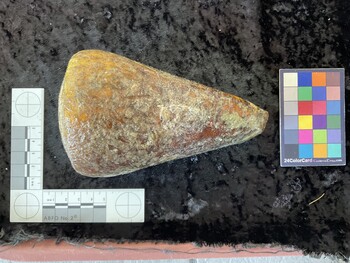 dorsal possible photo thumbnail