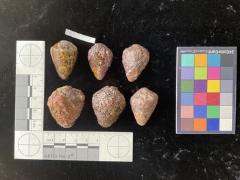 CebTR043; 34x23x28.5 dorsal photo thumbnail