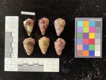 CratTR025; 32.5x20x27 dorsal photo thumbnail