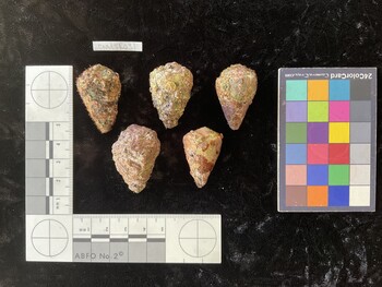 CratTR031; 35.5*x23*x28.5 dorsal photo thumbnail