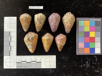 CflTR006; 35.5x23x29.5 dorsal photo thumbnail