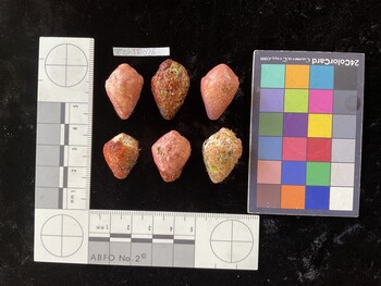 CchTR026; 25.5*x17*x19 dorsal photo thumbnail