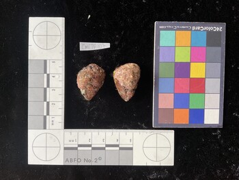 CmilTR107; 27*x18.5*x21 dorsal photo thumbnail