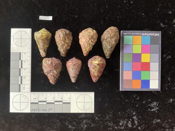 CratTR058; 35x19.5x27.5 dorsal photo thumbnail