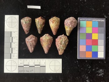 CratTR079; 30.5x19.5*x25.5 dorsal photo thumbnail