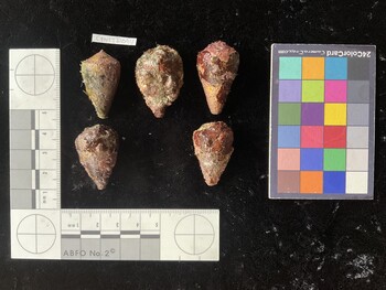CratTR094; 32.5x18.5x27.5 dorsal photo thumbnail