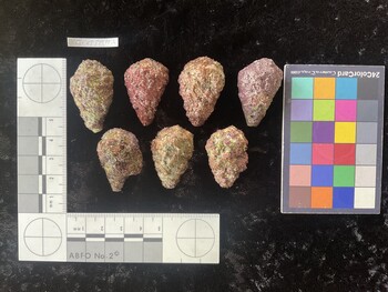 CratTR102; 36*x22.5*x27 dorsal photo thumbnail