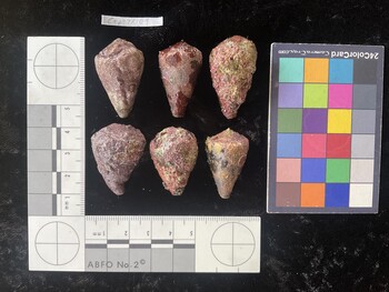 CratTR109; 33.5x20.5x27 dorsal photo thumbnail