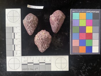 CchTR046; 35.5*x24.5*x25 dorsal photo thumbnail