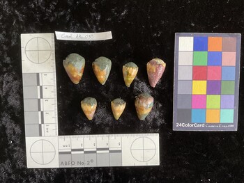 CmilAR033; 23.5x16x18.5 dorsal photo thumbnail
