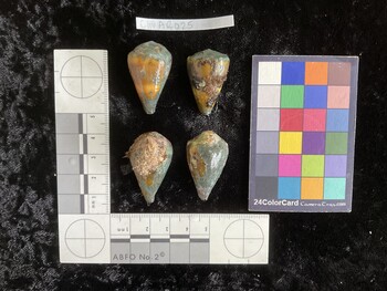 ClivAR025; 33.5x21x28.5 dorsal photo thumbnail