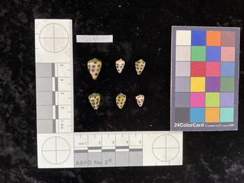 CebAR071; 15x10x12.5 dorsal photo thumbnail