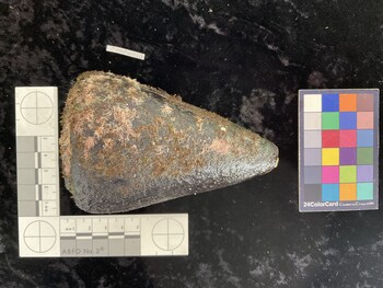 CleoAR010; 116.5x73.5x110 dorsal photo thumbnail