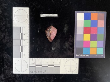CchAR010; 26x17.5x19 dorsal photo thumbnail