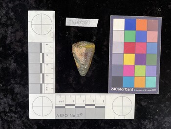 ClivAR080; 34x22x31 dorsal photo thumbnail