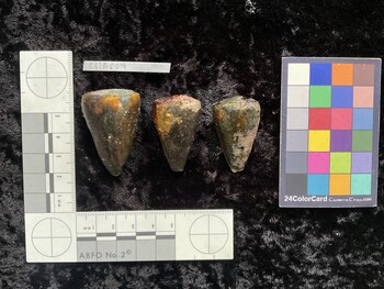 CflAR019; 42x27.5x39.5 dorsal photo thumbnail