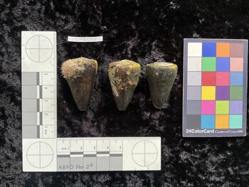CflAR022; 39x24.5x36 dorsal photo thumbnail