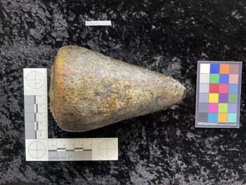 CleoAR019; 133.5x85x125 dorsal photo thumbnail
