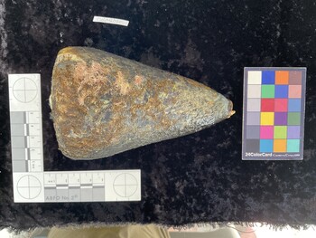 CleoAR020; 133x80x127 dorsal photo thumbnail