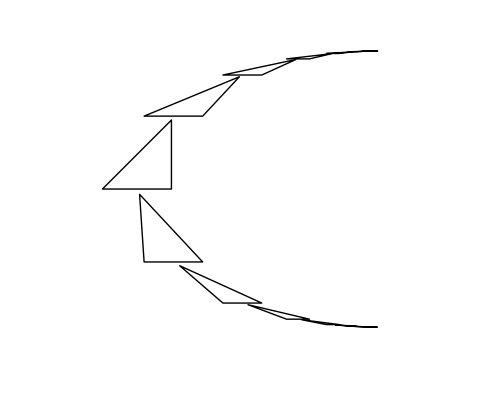 Triangles transformed by many projective transformations